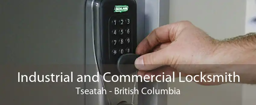 Industrial and Commercial Locksmith Tseatah - British Columbia