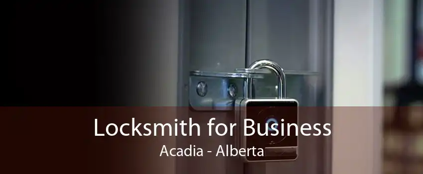 Locksmith for Business Acadia - Alberta