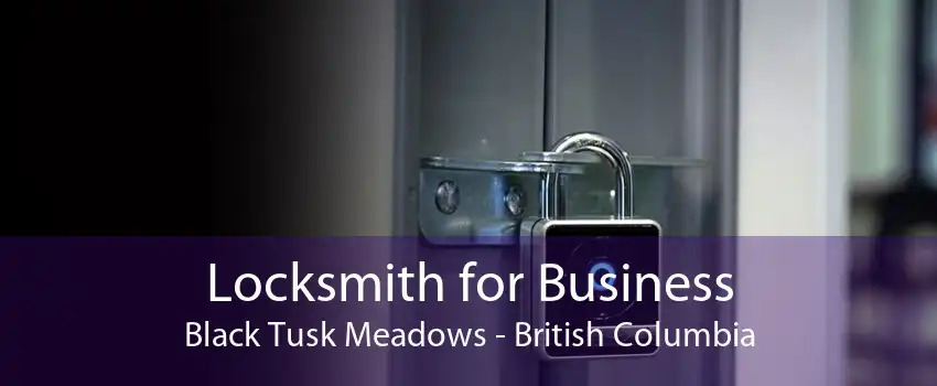 Locksmith for Business Black Tusk Meadows - British Columbia