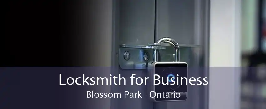 Locksmith for Business Blossom Park - Ontario