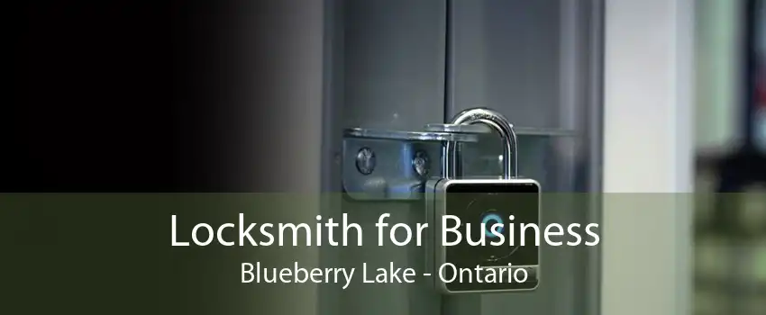 Locksmith for Business Blueberry Lake - Ontario