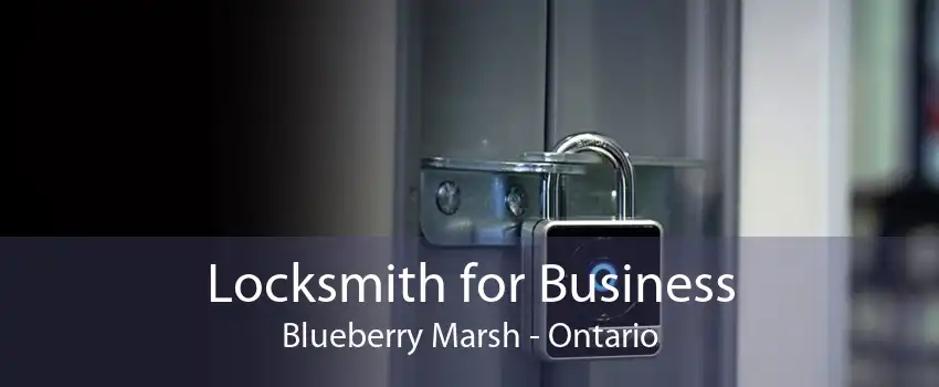 Locksmith for Business Blueberry Marsh - Ontario