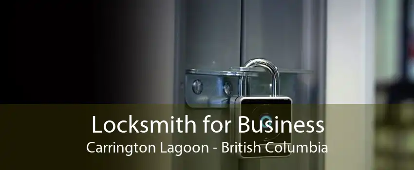 Locksmith for Business Carrington Lagoon - British Columbia