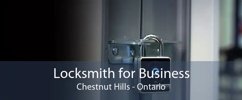 Locksmith for Business Chestnut Hills - Ontario