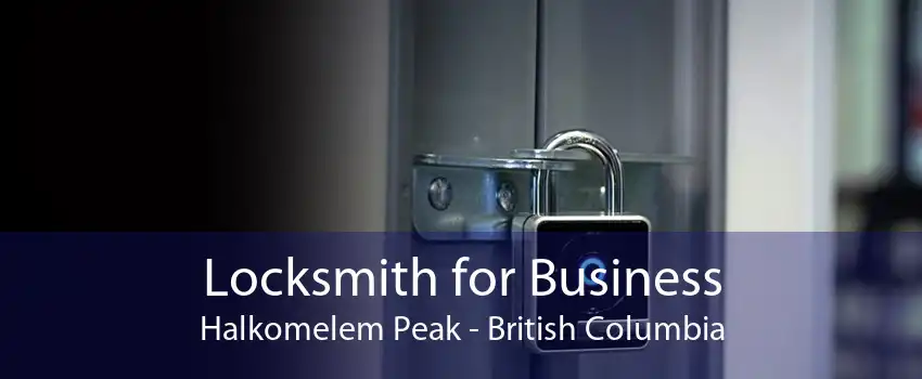 Locksmith for Business Halkomelem Peak - British Columbia