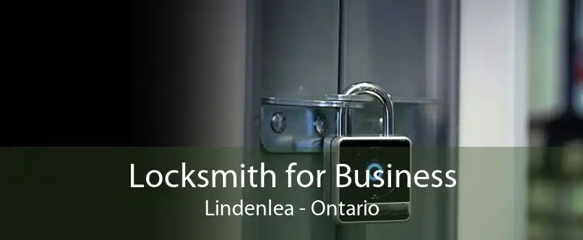 Locksmith for Business Lindenlea - Ontario