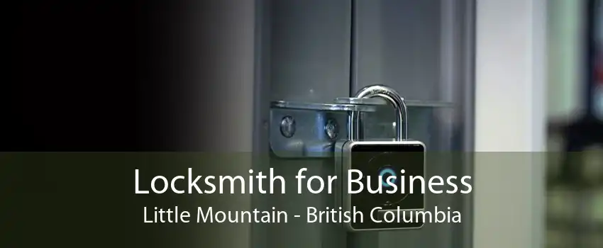 Locksmith for Business Little Mountain - British Columbia