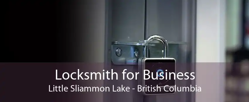 Locksmith for Business Little Sliammon Lake - British Columbia