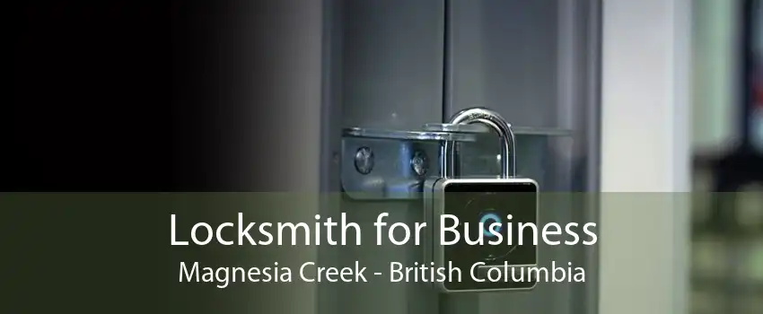 Locksmith for Business Magnesia Creek - British Columbia