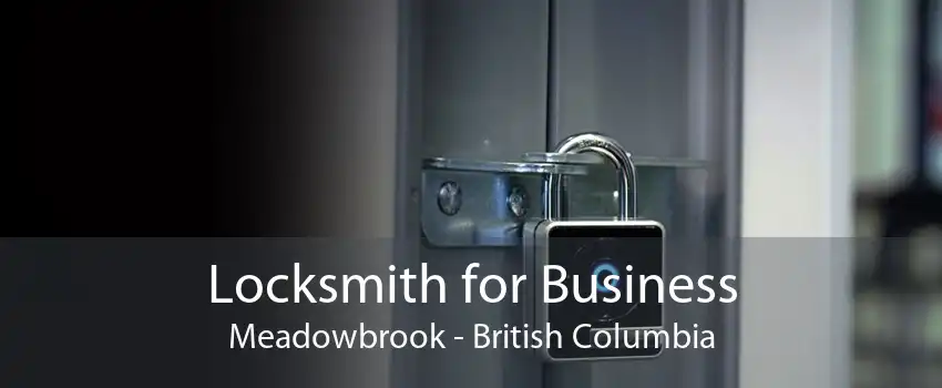 Locksmith for Business Meadowbrook - British Columbia