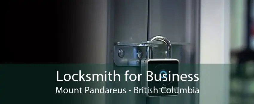 Locksmith for Business Mount Pandareus - British Columbia