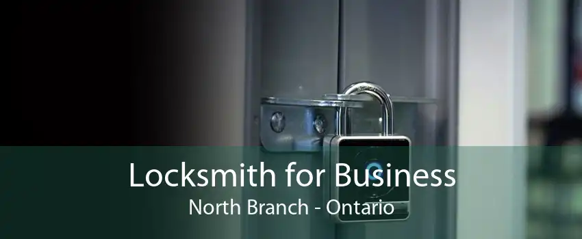 Locksmith for Business North Branch - Ontario