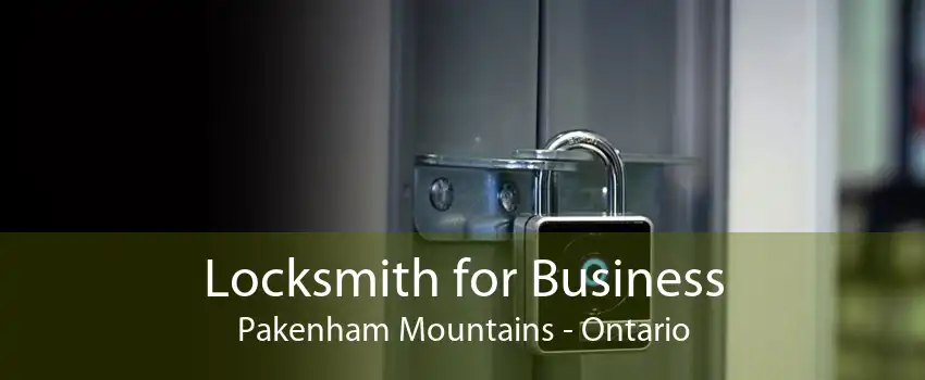 Locksmith for Business Pakenham Mountains - Ontario
