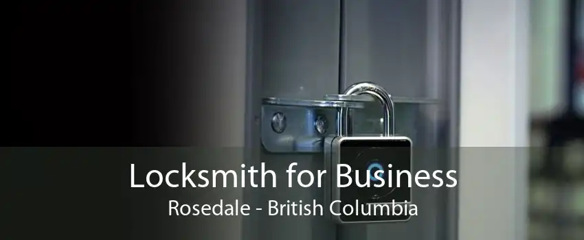 Locksmith for Business Rosedale - British Columbia