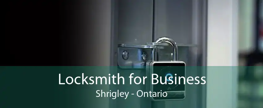 Locksmith for Business Shrigley - Ontario