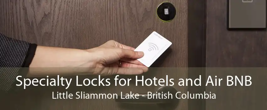 Specialty Locks for Hotels and Air BNB Little Sliammon Lake - British Columbia
