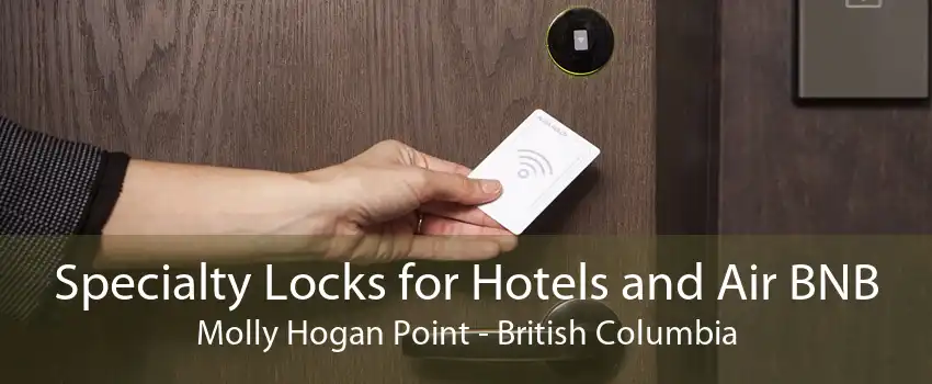 Specialty Locks for Hotels and Air BNB Molly Hogan Point - British Columbia