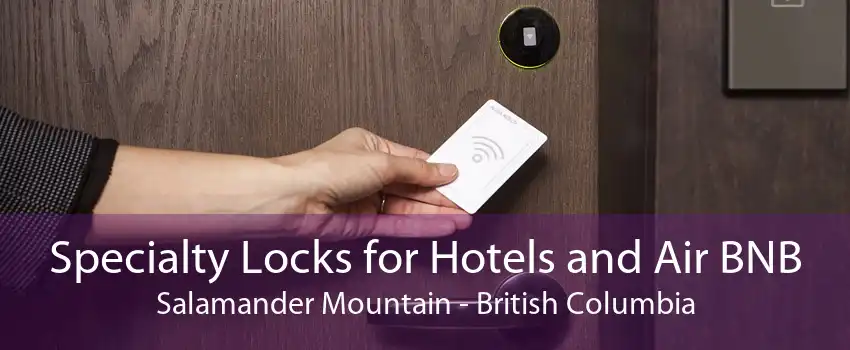 Specialty Locks for Hotels and Air BNB Salamander Mountain - British Columbia