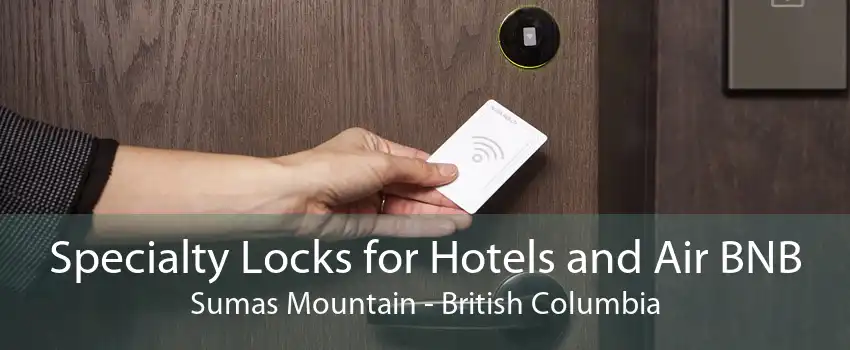 Specialty Locks for Hotels and Air BNB Sumas Mountain - British Columbia