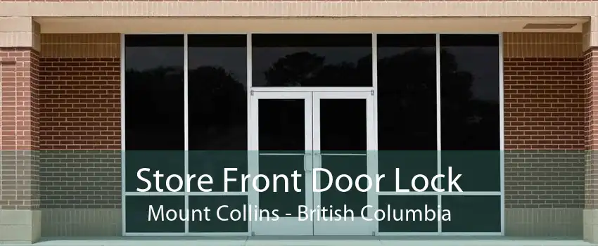 Store Front Door Lock Mount Collins - British Columbia